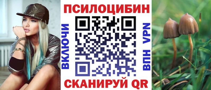 где купить mega как зайти Псилоцибиновые грибы Cubensis Гвардейск